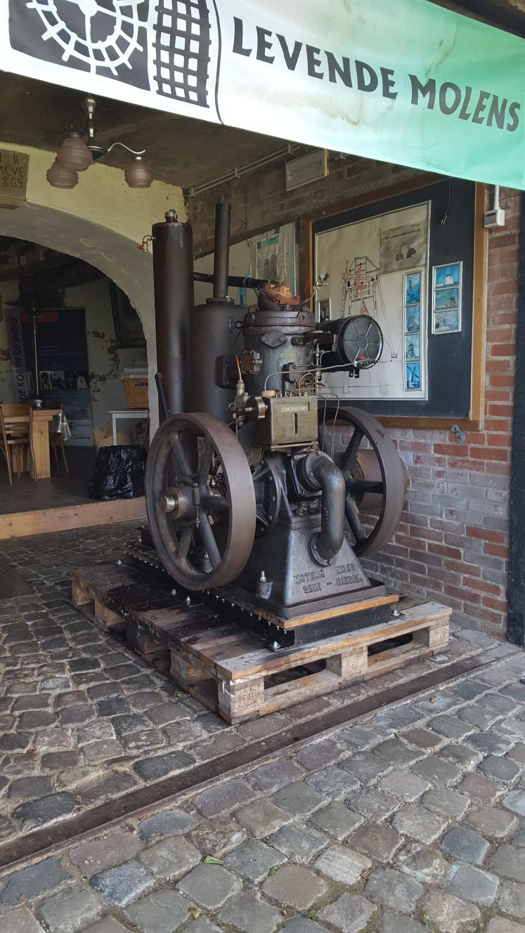 Foto3 Moes gloeikop klein